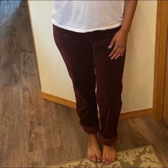 Michael Kors Straight Velour Pants - Picture 2 of 13
